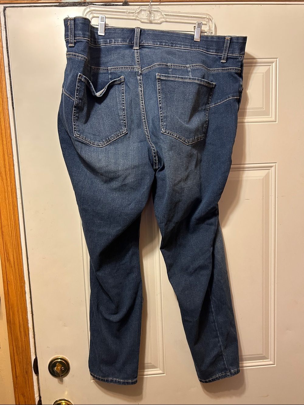 Terra & Sky Jeans 22W
